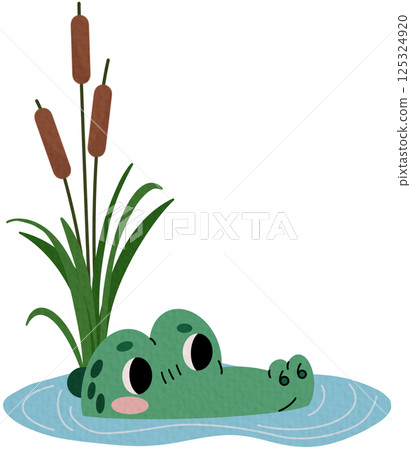 Green crocodile in the water. Cartoon alligator looks out of the water. Reeds. Kid vector illustration on white background. 125324920