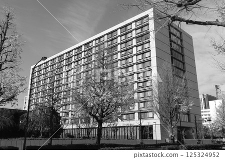 House of Councillors Building (Nagatacho, Chiyoda Ward) Monochrome 125324952