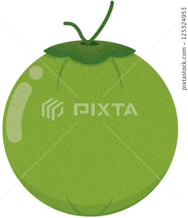 Green Coconut. Coconut logo design. Coconut vector. Coconut on white background. 125324953