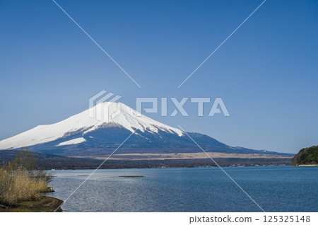 Lake Yamanaka and Mt. Fuji in Yamanashi Prefecture 125325148