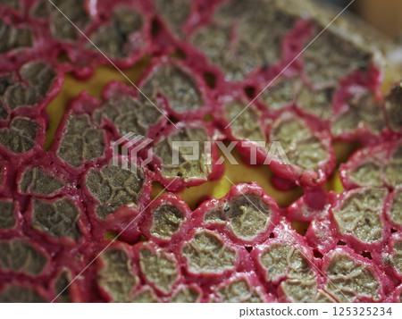 old cracked chapped plastic ping pong racket detail close up 125325234