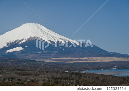 Lake Yamanaka and Mt. Fuji from Panorama Dai, Yamanashi Prefecture 125325334