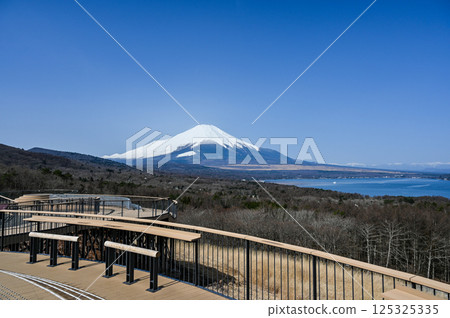 Lake Yamanaka and Mt. Fuji from Panorama Dai, Yamanashi Prefecture 125325335