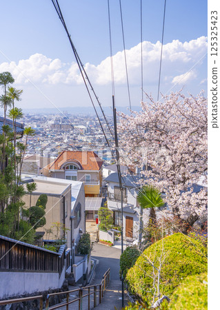 Cherry blossom trees along Ishikiri Sakurazaka in Osaka 125325423