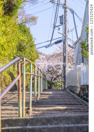 Cherry blossom trees along Ishikiri Sakurazaka in Osaka 125325424