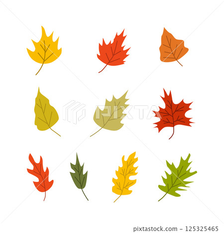 colorful multicolored set of autumn leaves, on white background. hand drawn colorful multicolored set of autumn leaves, on white background. hand drawn 125325465