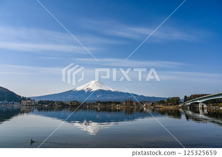 Lake Kawaguchi and Mount Fuji in Yamanashi Prefecture Lake Kawaguchi and Mount Fuji in Yamanashi Prefecture 125325659