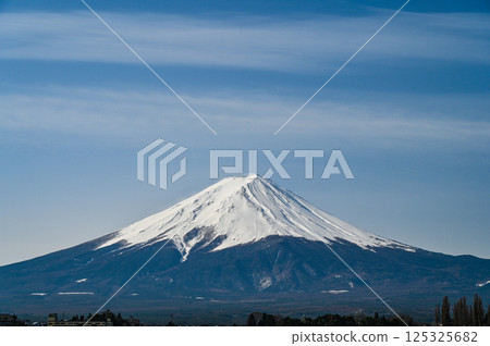 Lake Kawaguchi and Mount Fuji in Yamanashi Prefecture 125325682
