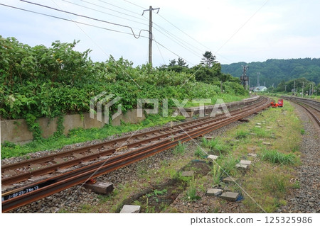 JR Hokkaido, Hakodate Main Line, local train window view from Mori Station to Yakumo Station (cloudy sky in summer 2023) 125325986