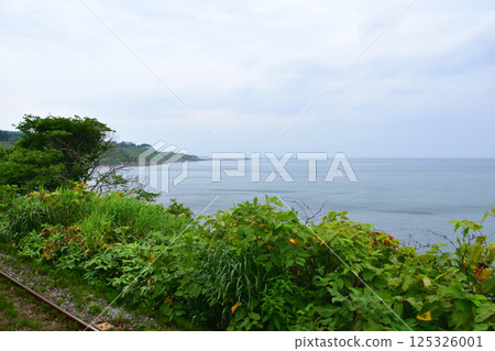 JR北海道函館本線森站至八雲站的本地火車車窗景色（2023年夏季多雲） 125326001