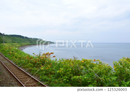 JR Hokkaido, Hakodate Main Line, local train window view from Mori Station to Yakumo Station (cloudy sky in summer 2023) JR Hokkaido, Hakodate Main Line, local train window view from Mori Station to Yakumo Station (cloudy sky in summer 2023) 125326003