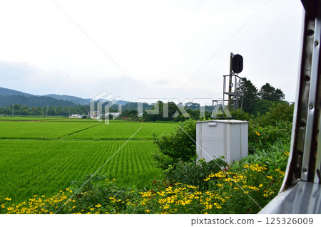 JR Hokkaido, Hakodate Main Line, local train window view from Mori Station to Yakumo Station (cloudy sky in summer 2023) 125326009