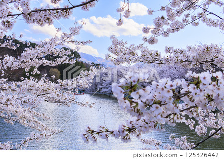 Garyu Park with cherry blossoms in full bloom Garyu Park with cherry blossoms in full bloom 125326442
