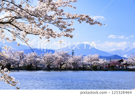 Garyu Park with cherry blossoms in full bloom 125326464