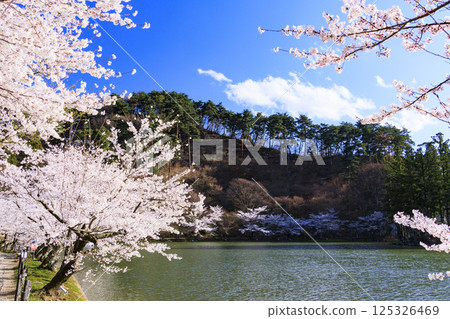 Garyu Park with cherry blossoms in full bloom 125326469