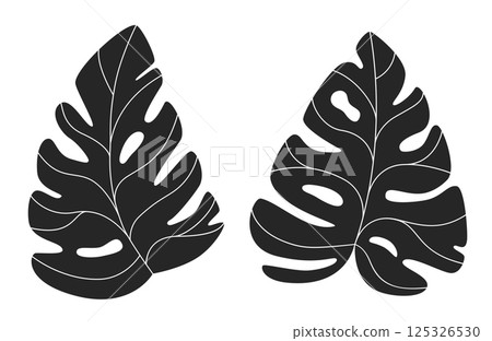 Monstera Deliciosa plant leafs tropical leaves hand drawn vector isolated 125326530