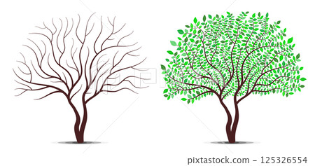 Tree with green leaves and without leaves. Detailed leaves vector. Tree with green leaves and without leaves. Detailed leaves vector. 125326554