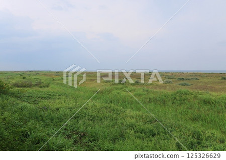 JR北海道函館本線八雲站至長萬部站區間列車車窗景色（2023年夏季多雲） 125326629