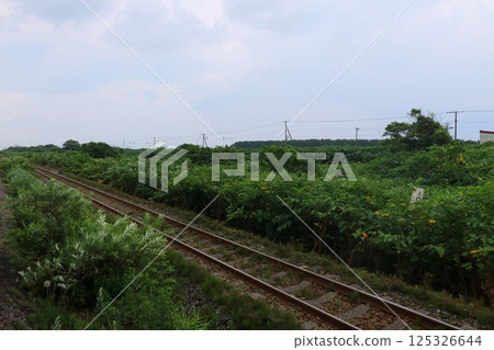 JR北海道函館本線八雲站至長萬部站區間列車車窗景色（2023年夏季多雲） 125326644