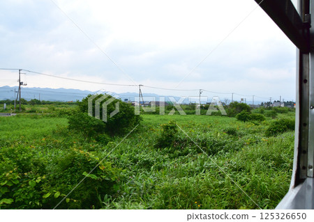 JR Hokkaido, Hakodate Main Line, local train window view from Yakumo Station to Oshamanbe Station (cloudy sky in summer 2023) 125326650