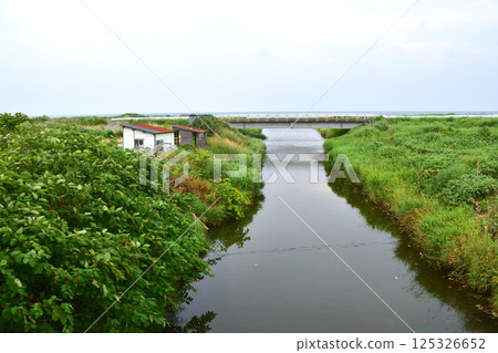 JR北海道函館本線八雲站至長萬部站區間列車車窗景色（2023年夏季多雲） 125326652