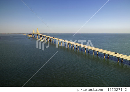 Sunshine Skyway Bridge over Tampa Bay in Florida with moving traffic. Concept of transportation infrastructure Sunshine Skyway Bridge over Tampa Bay in Florida with moving traffic. Concept of transportation infrastructure 125327142