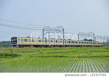 Sobu Main Line Monoi-Sakura JR East 209 series C605 formation (Makuhari) Sobu Main Line Monoi-Sakura JR East 209 series C605 formation (Makuhari) 125327391