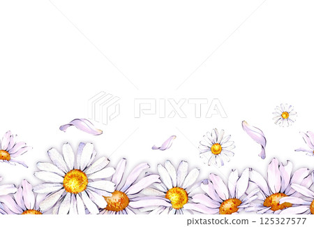 A border of watercolor white daisies. Botanical illustration. A border of watercolor white daisies. Botanical illustration. 125327577