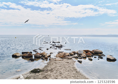 Serene coastal scene with calm waters 125328596