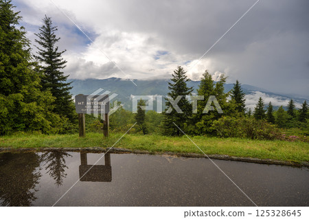 Road trip travel in Appalachian mountains at sunset. Mt. Mitchell Overlook on parkway and woods nature in summer season. Colorful forest in North Carolina 125328645