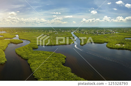 Overhead view of Everglades swamp with green vegetation between water inlets. Natural habitat of many tropical species in Florida wetlands 125328793
