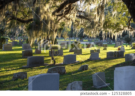 Old American cemetery with rows of tombstones under southern oak trees on green grass in Orlando, Florida 125328805