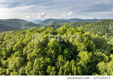 Mountain forest with green canopies in summertime season. North Carolina wild woods nature in summer Mountain forest with green canopies in summertime season. North Carolina wild woods nature in summer 125328817