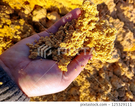 Handling Grain Bard Waste DDGS for Sustainable Agriculture Applications Handling Grain Bard Waste DDGS for Sustainable Agriculture Applications 125329111