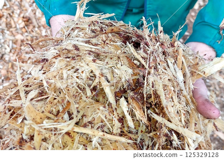 Wood chips for biofuel production showcasing renewable energy resource management 125329128