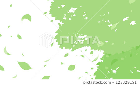 樹木和落葉的背景插圖_16:9 125329151