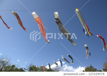 Carp streamer Carp streamer 125329578