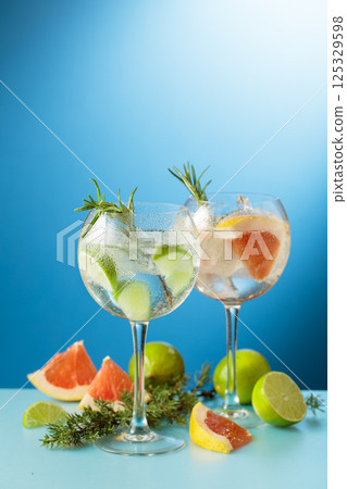 Cocktails gin and tonic with grapefruit and lime slices. 125329598