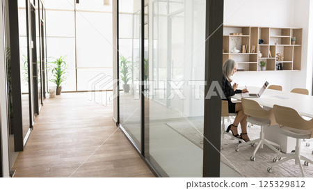 Older age businesswoman work with documents notebook in contemporary office Older age businesswoman work with documents notebook in contemporary office 125329812
