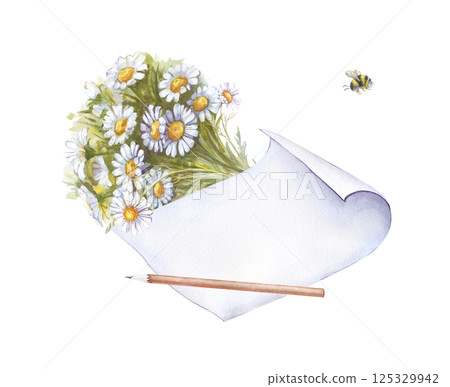 An empty sheet of paper with a pencil, a bouquet of daisies and a small bumblebee is hand-drawn. Watercolor summer composition on a white background. Botanical illustration. Isolated . An empty sheet of paper with a pencil, a bouquet of daisies and a small bumblebee is hand-drawn. Watercolor summer composition on a white background. Botanical illustration. Isolated . 125329942