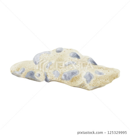 Seabed. Sand and stones. Surface of the earth. Beach. Piece of stone. Horizontal surface. Watercolor illustration without background. Hand drawing. Basis for plants and compositions. Seabed. Sand and stones. Surface of the earth. Beach. Piece of stone. Horizontal surface. Watercolor illustration without background. Hand drawing. Basis for plants and compositions. 125329995
