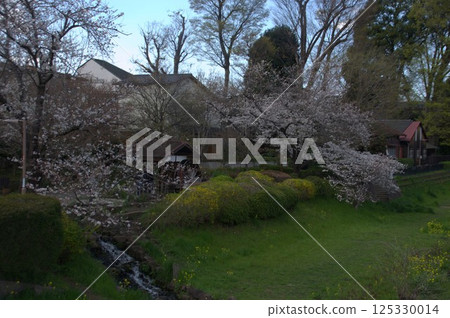 水車和櫻桃樹 125330014