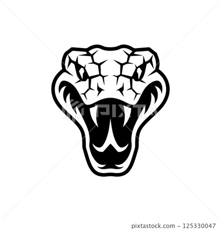 Illustration of head of poisonous snake in engraving style. Design element for logo, label, emblem, sign, badge. Vector illustration Illustration of head of poisonous snake in engraving style. Design element for logo, label, emblem, sign, badge. Vector illustration 125330047