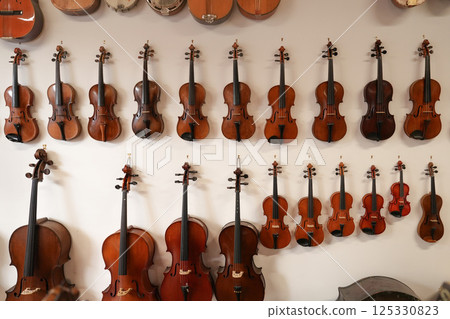 Violins of different sizes hanging on the wall White background Violins of different sizes hanging on the wall White background 125330823