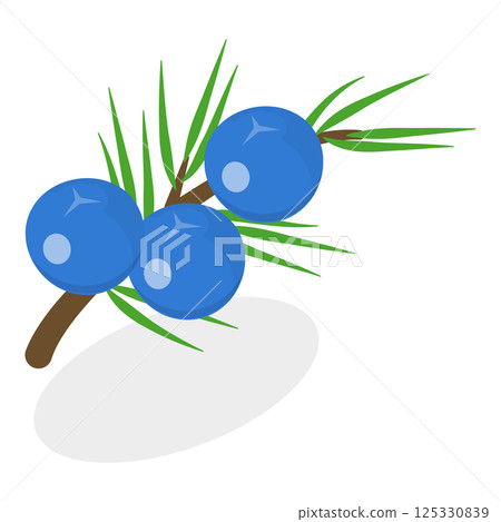 3D Isometric Flat  Set of Berries. Item 5 125330839