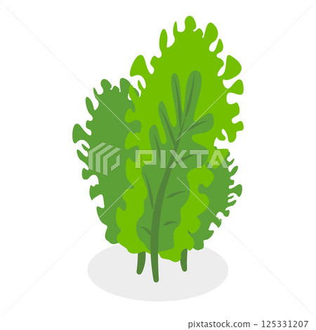 3D Isometric Flat Vector Set of Seaweeds, Marine Algae Collection. A set of various types of seaweed gathered from the ocean, perfect for showcasing the beauty of underwater flora.. Item 1 3D Isometric Flat Vector Set of Seaweeds, Marine Algae Collection. A set of various types of seaweed gathered from the ocean, perfect for showcasing the beauty of underwater flora.. Item 1 125331207