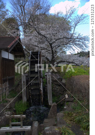 Water mill and cherry tree Water mill and cherry tree 125331223
