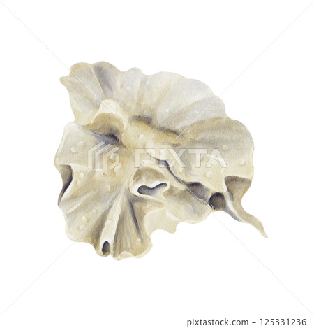 Sinularia dura neon green . Leather coral. Marine plant. Beautiful coral. Underwater world. Animal on the reefs. Watercolor illustration without background. Hand drawing. For aquarium and oceanarium. 125331236