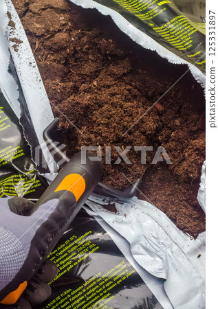 A gloved hand scoops dark, rich compost from a torn white and black bag. High quality photo A gloved hand scoops dark, rich compost from a torn white and black bag. High quality photo 125331897