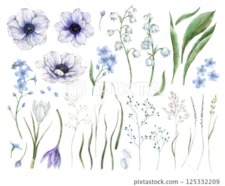 Crocus, anemone, forget-me-not, lily of the valley and green leaves, wild plants, herbs. Set of watercolor isolated illustrations, for spring designs, wedding invitations, cards, branding, packaging. Crocus, anemone, forget-me-not, lily of the valley and green leaves, wild plants, herbs. Set of watercolor isolated illustrations, for spring designs, wedding invitations, cards, branding, packaging. 125332209